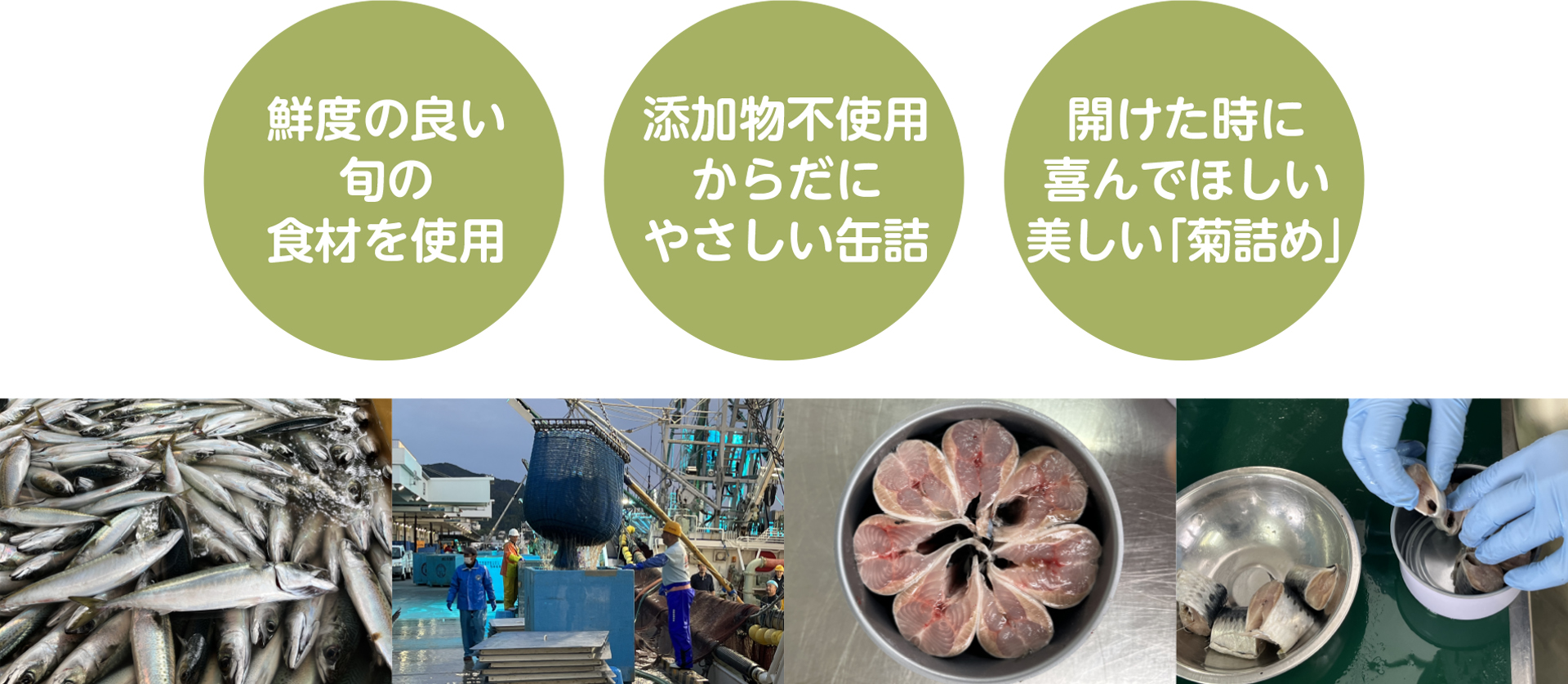 株式会社タイム缶詰 株式会社タイム缶詰